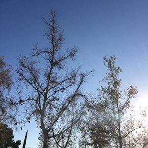 Meet your Posher, Alejandra